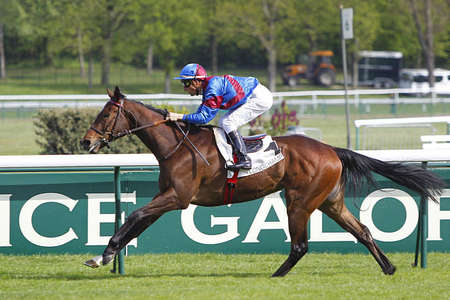 Actualités Hippiques